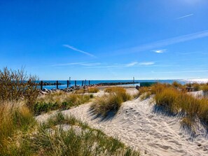A beach with sand dunes, a clear blue sky, and a calm sea. - Oase Damp Roof Tent - Vacation Home on the Baltic Sea (Damp)