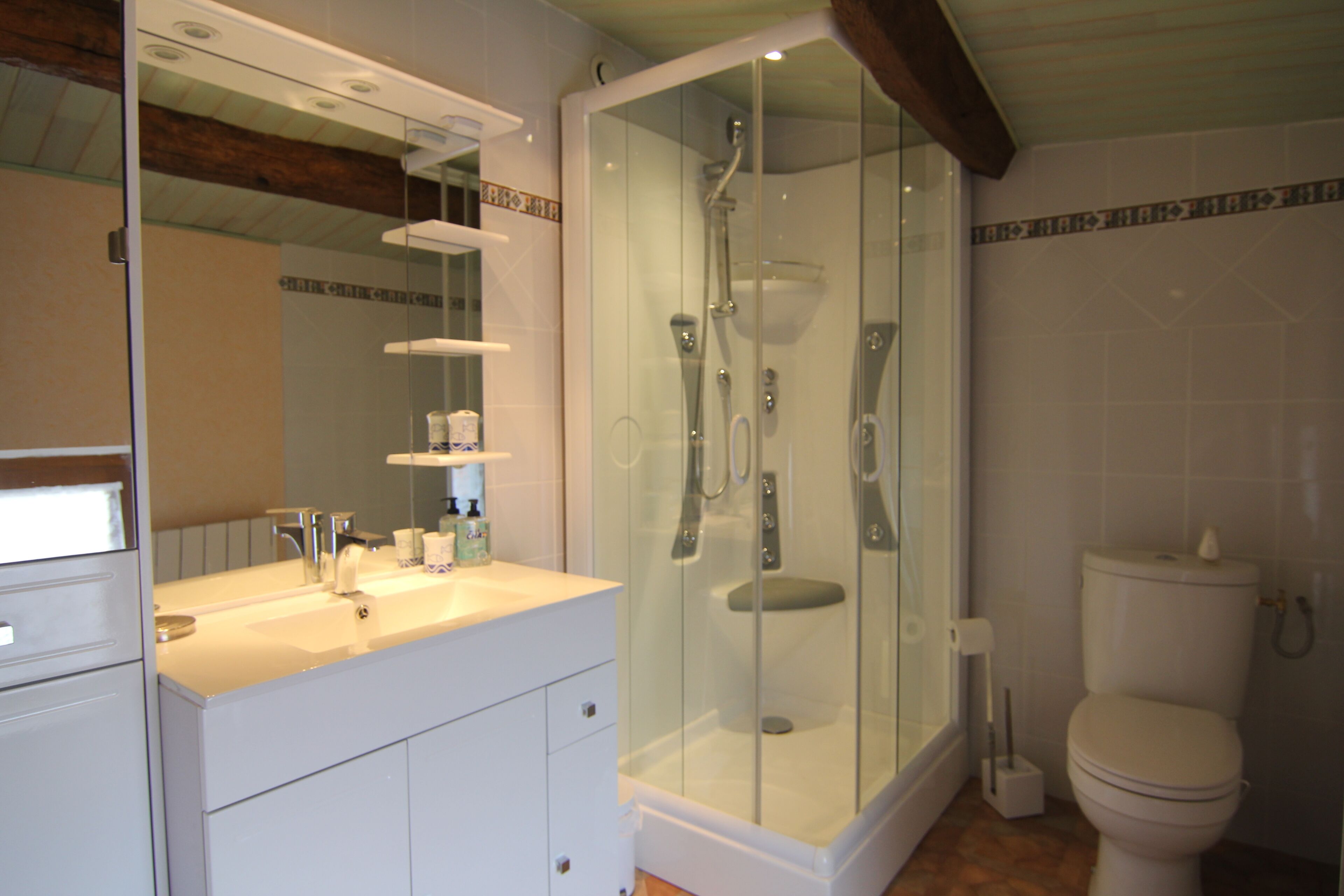 A bathroom with a glass-enclosed shower, a white sink with a mirror, and a toilet.