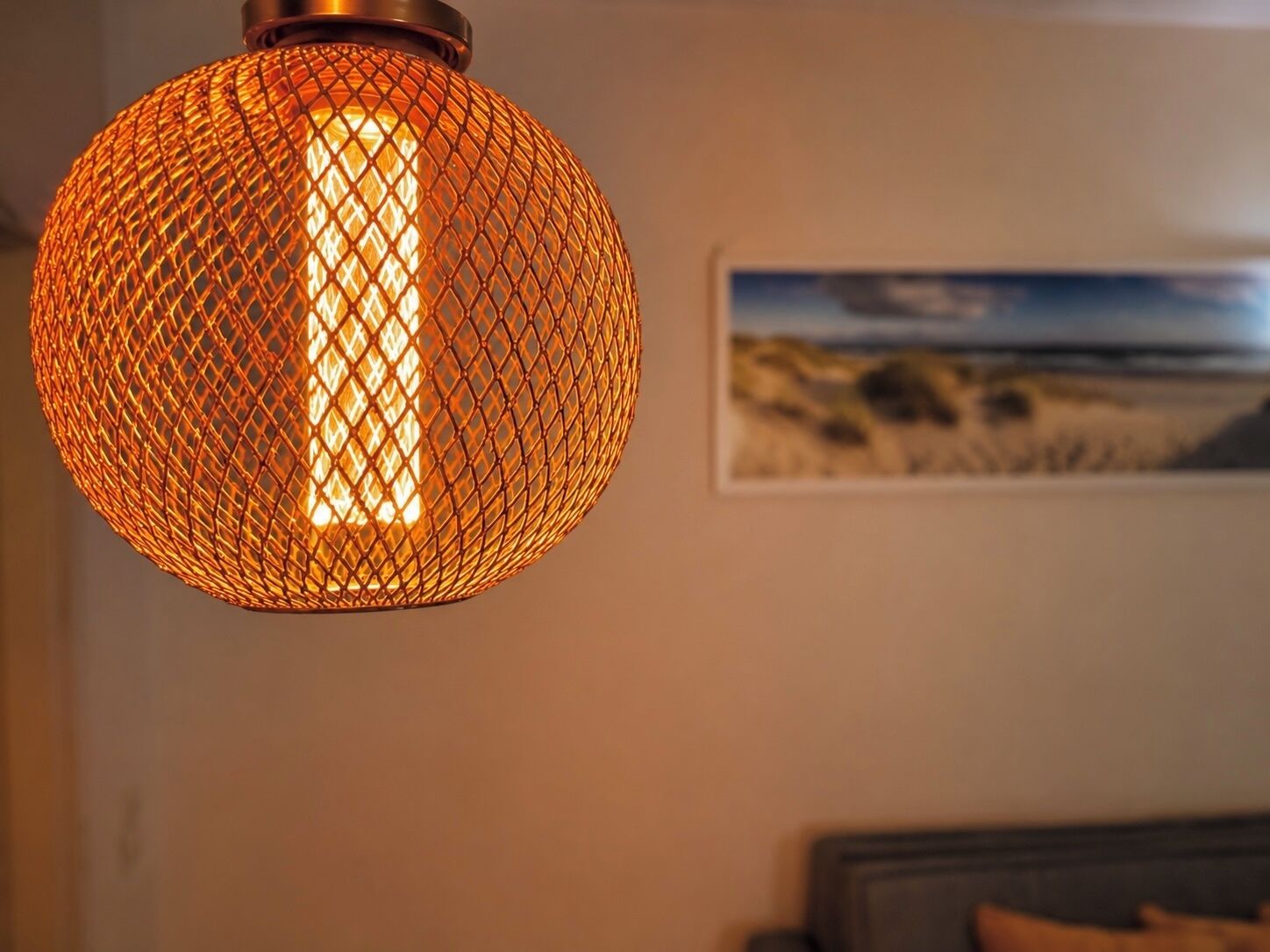 A spherical, wire-framed pendant light with a warm glow, a framed landscape painting on the wall, and a dark-colored sofa in the background.