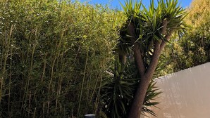 Un bain à remous doté d’une structure en bois, entouré de bambous et d’un palmier.