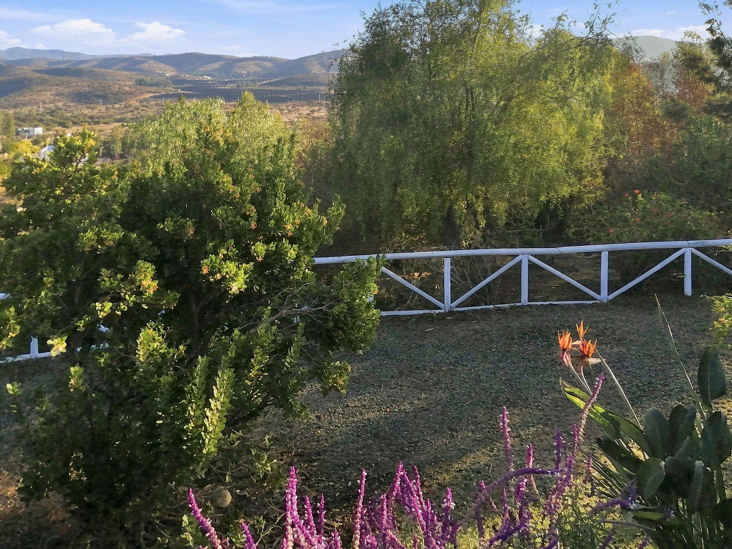 Un jardín cercado con diversas plantas y árboles, una valla de metal blanco y una vista distante de colinas.