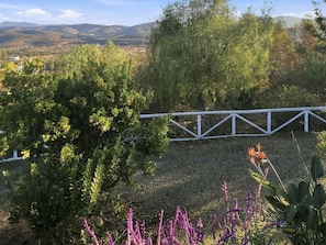 Zona de jardí tancada amb diverses plantes i arbres, una tanca de metall blanca i una vista llunyana de les muntanyes.