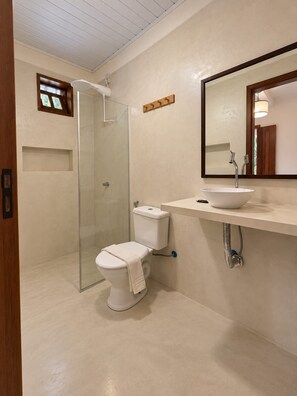A modern bathroom with a glass shower enclosure, a toilet, and a sink with a mirror above.
