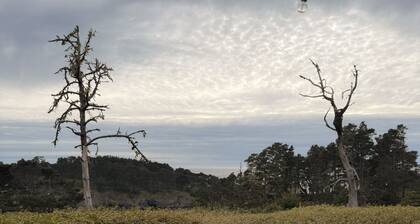 Relax & Unwind in an 11-Bedroom Beachfront Retreat with Spa in Mendocino