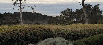 Relax & Unwind in an 11-Bedroom Beachfront Retreat with Spa in Mendocino