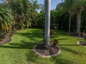 A well-maintained garden with a central palm tree, surrounded by various tropical plants and a neatly trimmed lawn. - Private Serene Florida Estate Near Beaches (Fort Myers)