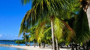 Uma praia com palmeiras e águas azul-claras.