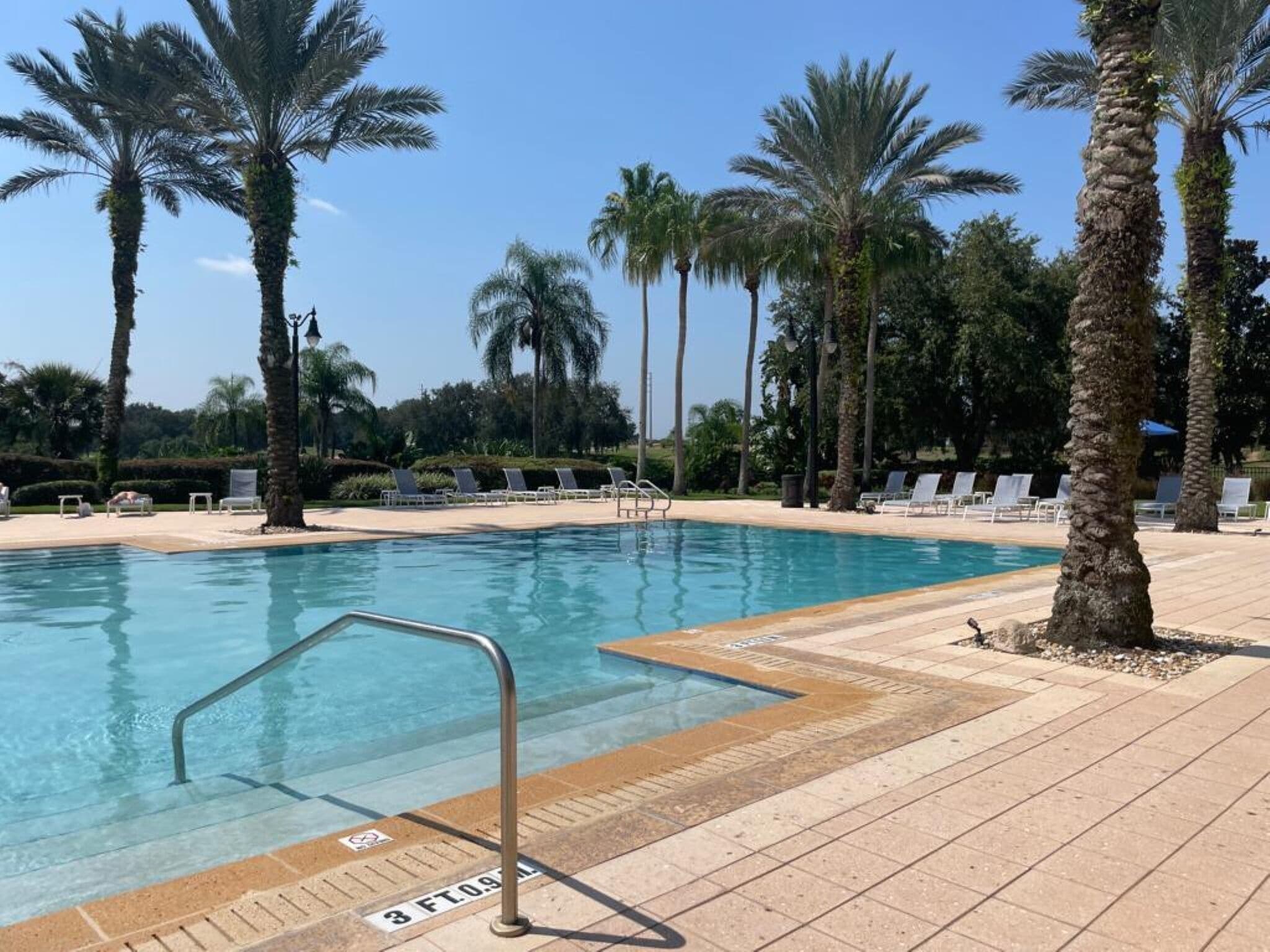 Ein Swimmingpool mit Metallleiter, umgeben von Palmen und Liegestühlen.
