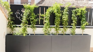 A black planter box with multiple green plants growing vertically. - Platea Concept Suites (Caudete)