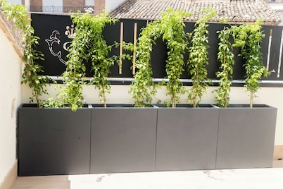 Platea Concept Suites