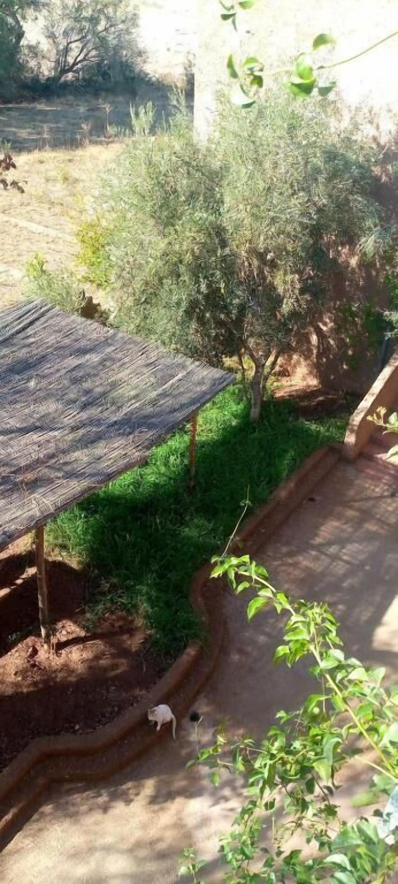 المنطقة المحيطة بالمنشأة