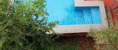 Une piscine rectangulaire bordée de carreaux, entourée de verdure et d’une structure en béton.