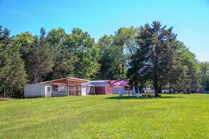 Miscellaneous - Farmhouse Retreat in the Country w/ Fresh Egg, Sheep and large Firepit (Bealeton)