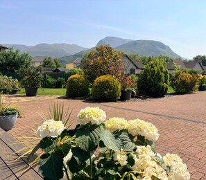 A paved walkway with potted plants and flowers, surrounded by neatly trimmed hedges and a mountain backdrop.