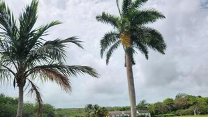 Property grounds - Vuemont Resort and Villas (Speightstown)