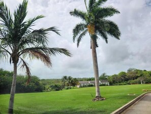 Property grounds - Vuemont Resort and Villas (Speightstown)