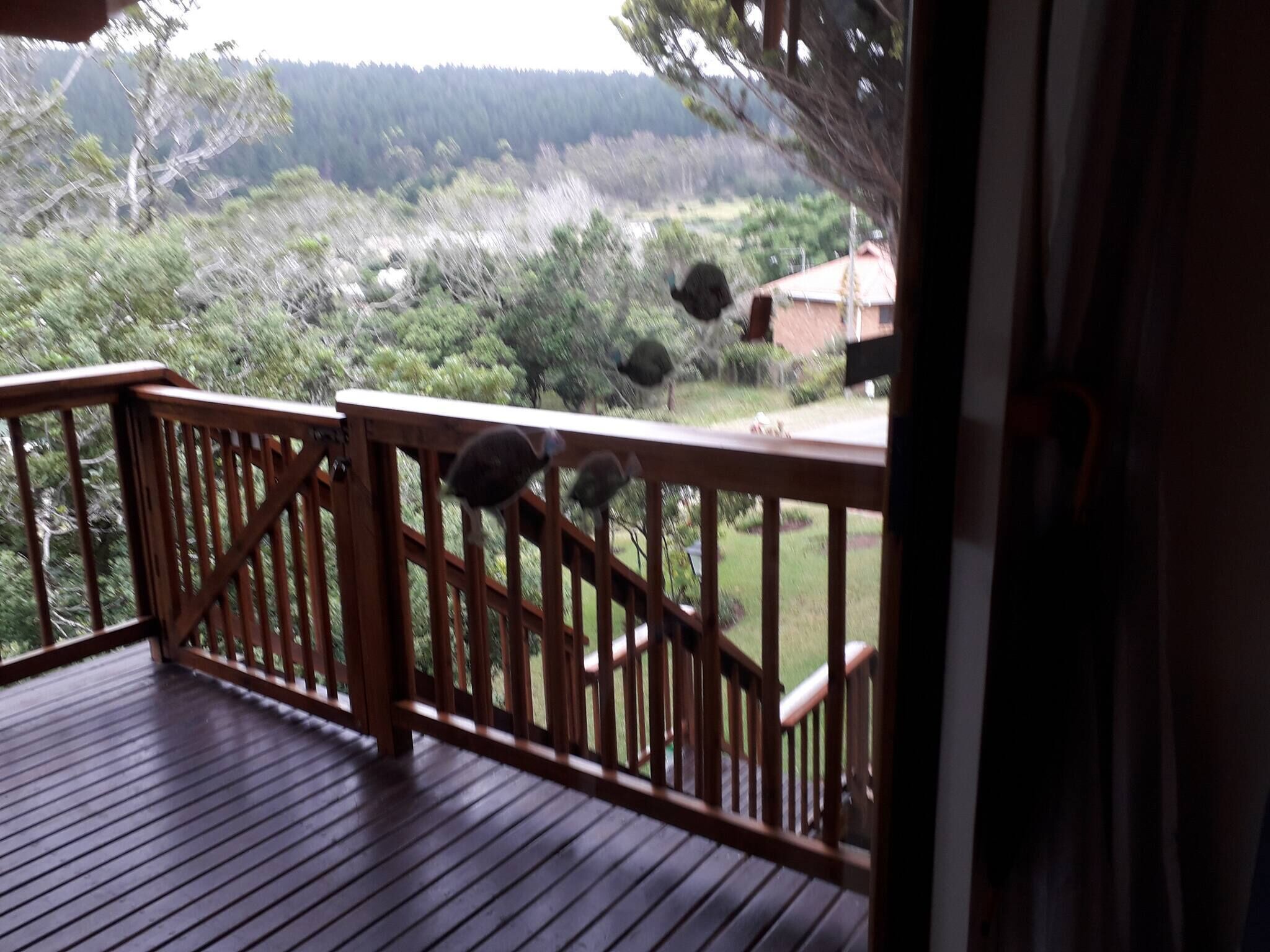 House, 2 Bedrooms, Balcony | Balcony