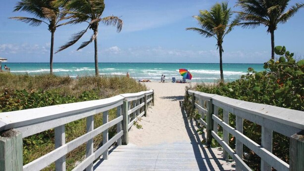 A wooden boardwalk leading to a beach with palm trees and a colorful umbrella.