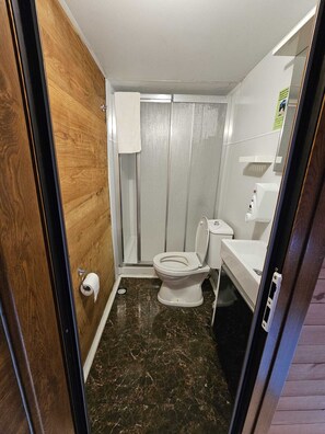 Familienapartment, Bergblick | Badezimmer | Dusche, kostenlose Toilettenartikel, Haartrockner, Handtücher