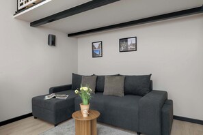 Fernseher, Arbeitsbereiche