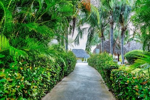 A pathway flanked by lush greenery and palm trees, leading to a structure with a thatched roof. - Luxury Pool Condo Near Beach & Downtown (Punta Cana)