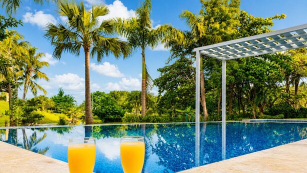 Ein Schwimmbecken mit zwei Gläsern Orangensaft, umgeben von Palmen und einer Pergola.
