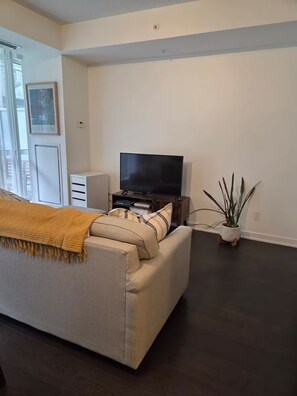 Ein Wohnzimmer mit einer Couch, einem Fernseher, einer kleinen Kommode und einem Topfpflanzen.