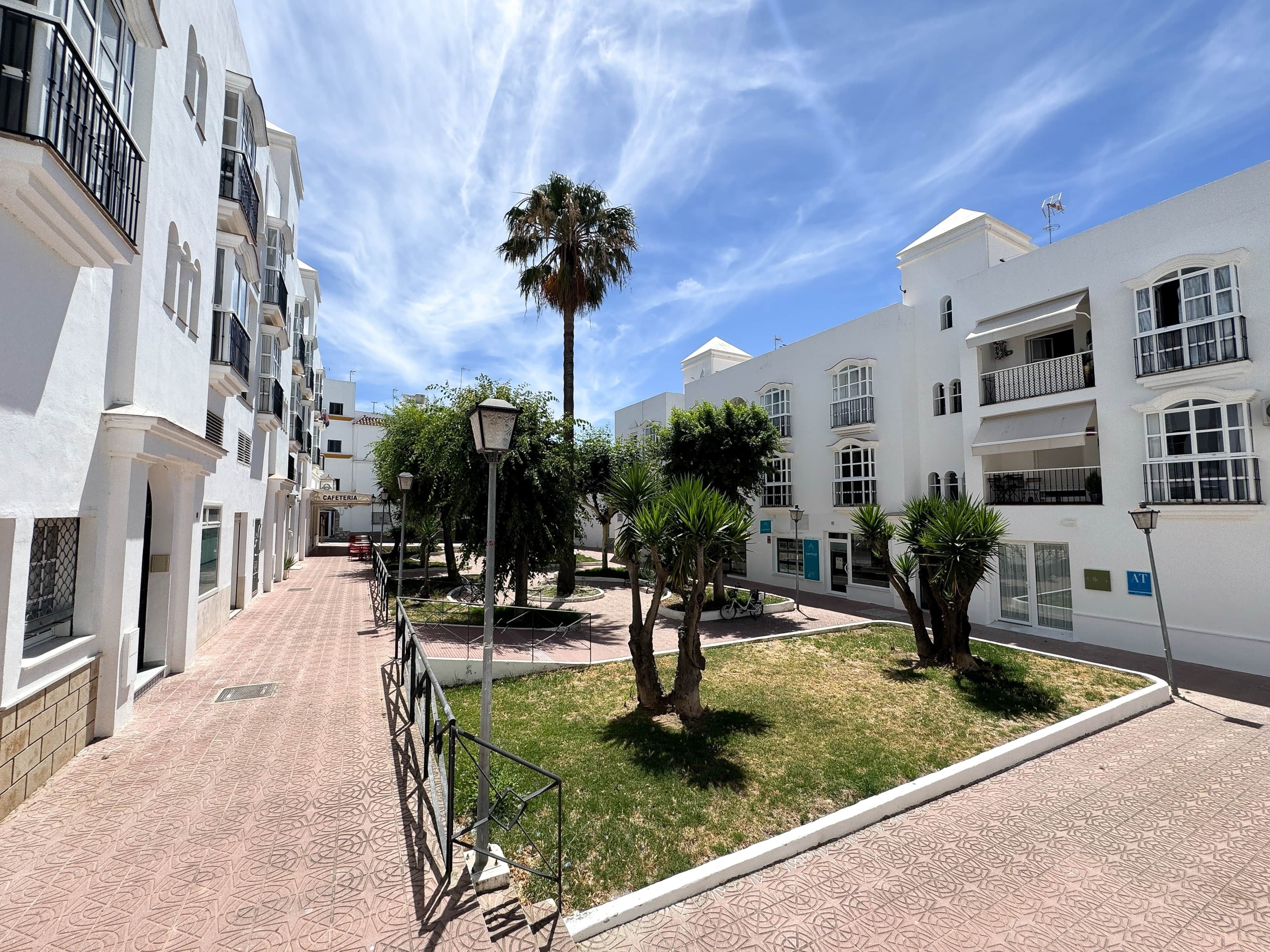 A residential area with white buildings, a paved walkway, and a palm tree.