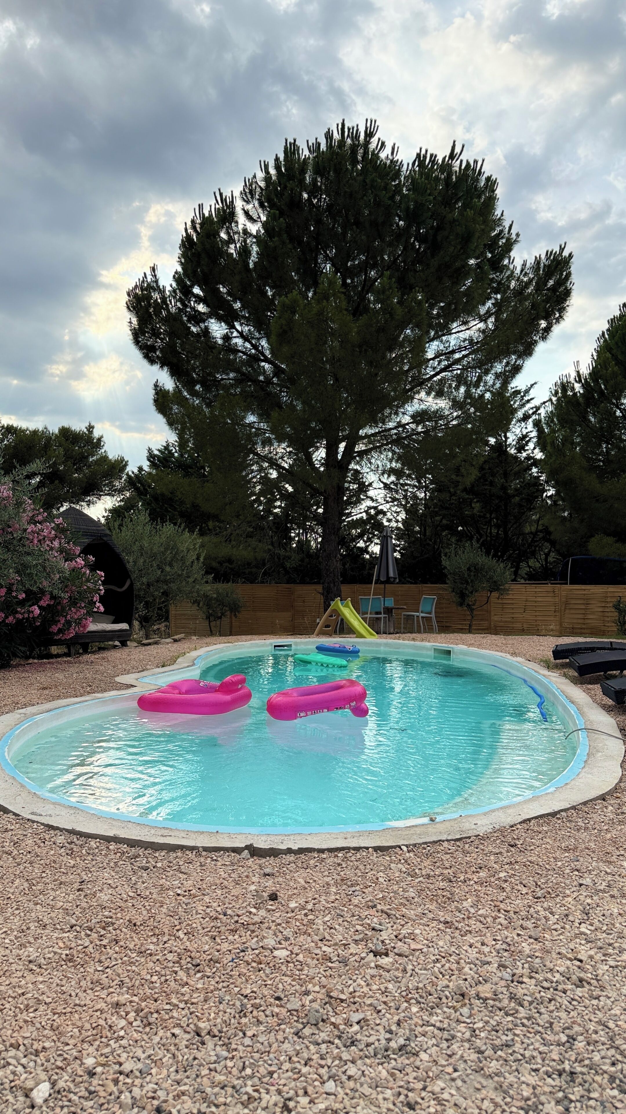 A swimming pool with two pink inflatable rings, surrounded by pebbles, with a wooden fence and a large tree in the background.