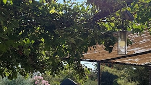 Speisen im Freien