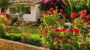 Una casa con jardín, muro de piedra y montañas al fondo.