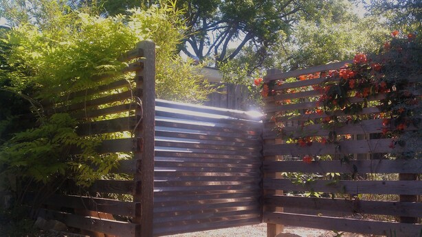 A wooden gate with a metal latch, surrounded by lush greenery and flowering plants. - Gorgeous Zilker Cottage - Monthly Rental - Available August (Austin)