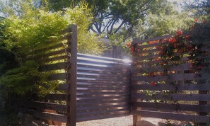 Property grounds - Gorgeous Zilker Cottage - Monthly Rental - Available August (Austin)