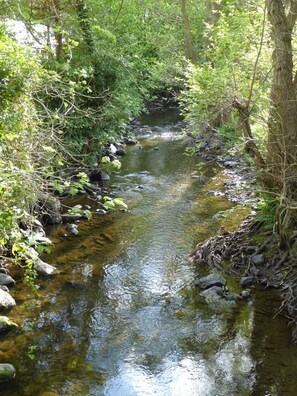 A narrow stream with clear water, surrounded by dense greenery and rocks. - Hafannedd Cottage - Riverside views with Decking (Corwen)