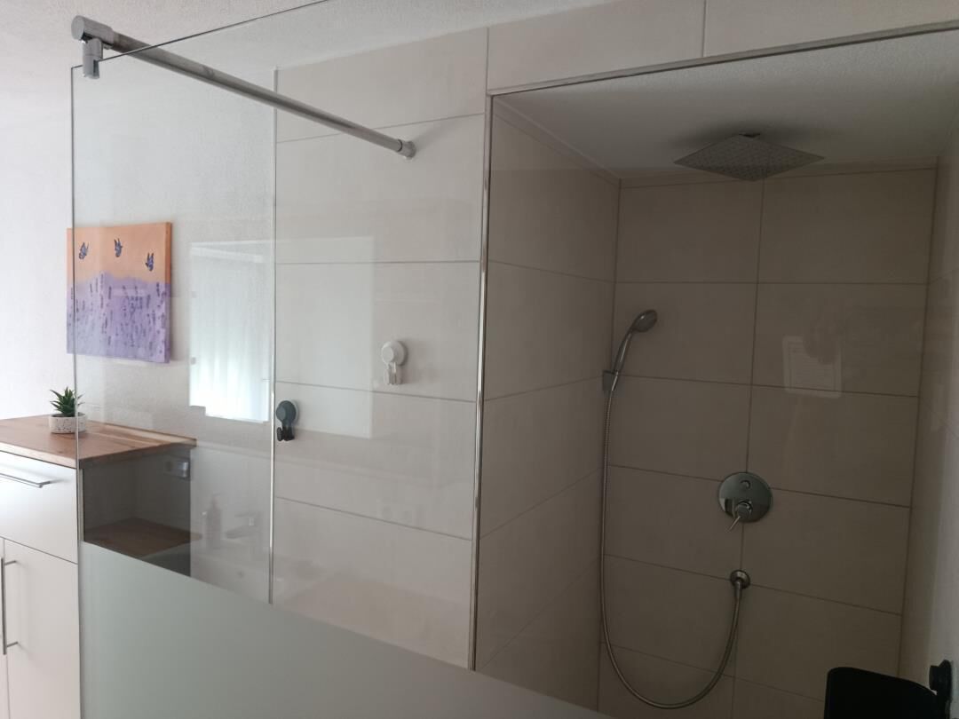 A modern bathroom with a glass shower enclosure, a visible towel rack, and a small potted plant on the counter.