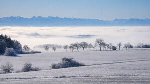 Un paisaje nevado con vistas despejadas a montañas distantes y una hilera de árboles.