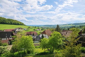 Miscellaneous - Large Evergreen Apartment for up to 8 People Near Waldshut (Waldshut-Tiengen)