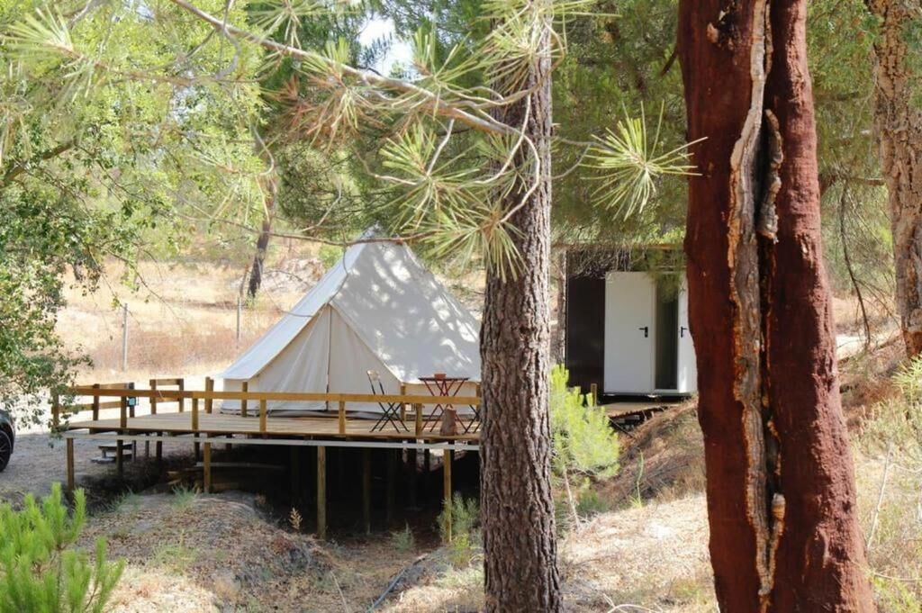 A tented accommodation with a wooden deck, surrounded by trees.