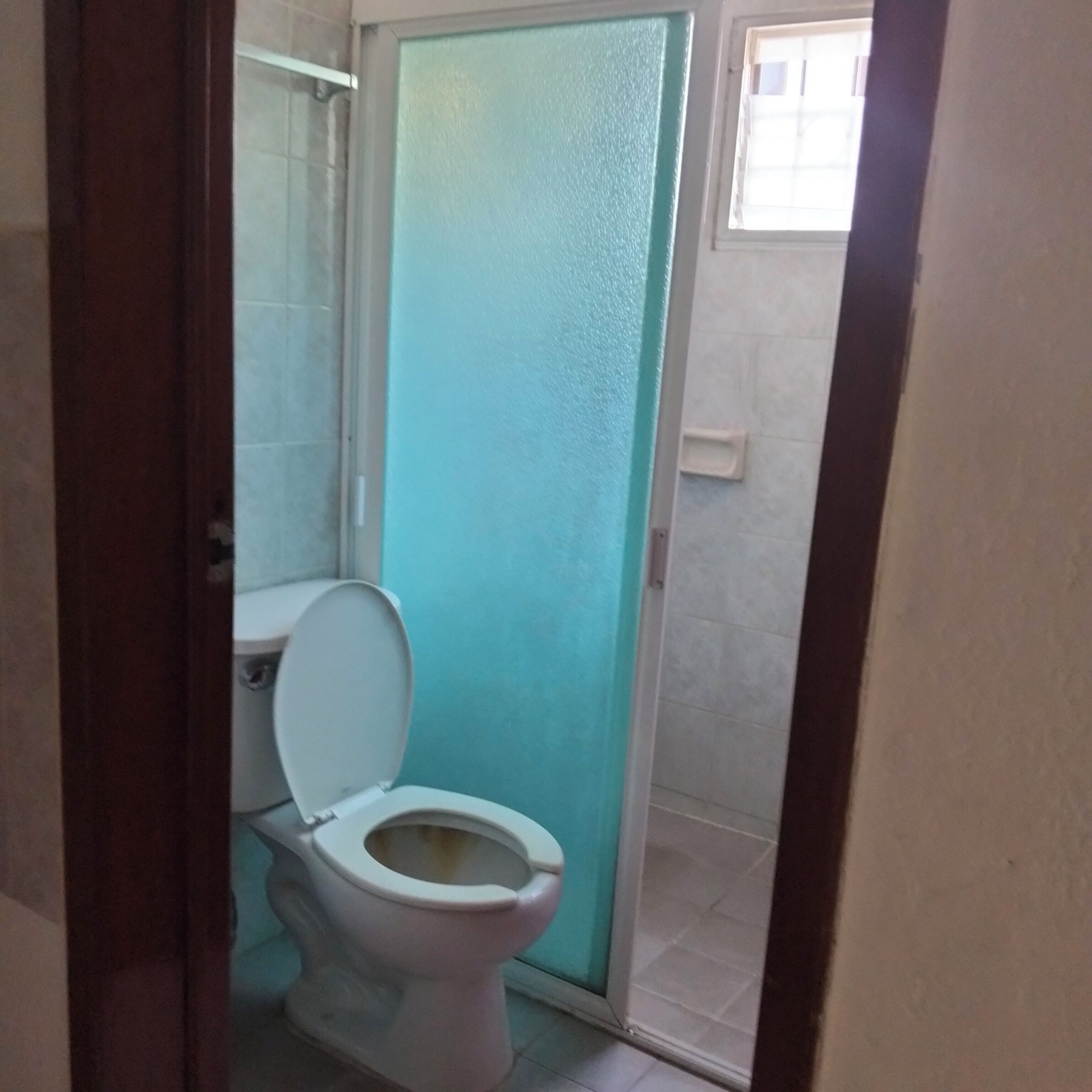 Tripla familiare, letti multipli | Bagno | Doccia, asciugamani, sapone, shampoo