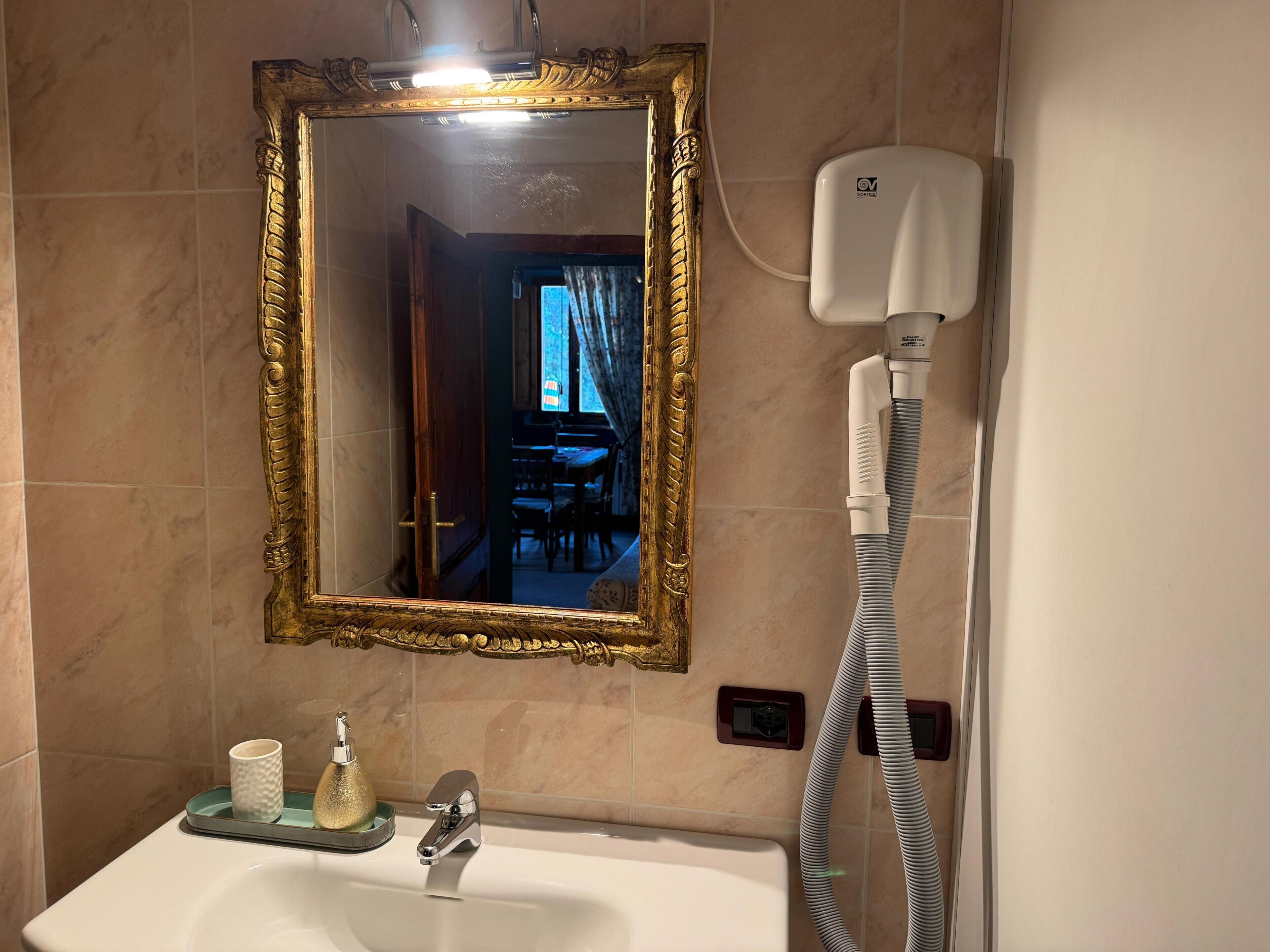 A bathroom with a gold-framed mirror, a white sink, a handheld showerhead, and a bottle of shampoo.