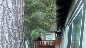Kapea ulkoilukäytävä, jossa on puinen terassi, kiviseinä ja ikkunallinen rakennus.
