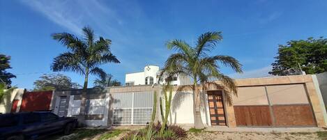 A residential area with a white building, a garage, and two palm trees.