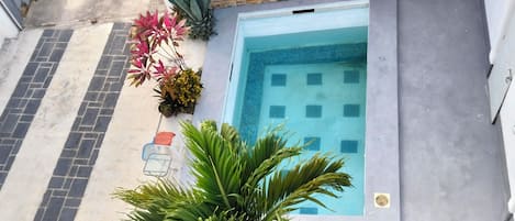 Ein Wohnhaus mit Schwimmbad, gepflasterter Terrasse und diversen Pflanzen.