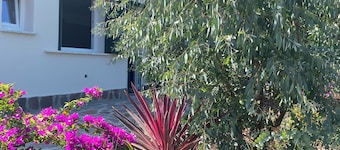 On the Italian Riviera, a newly renovated 50-square-meter apartment surrounded by greenery