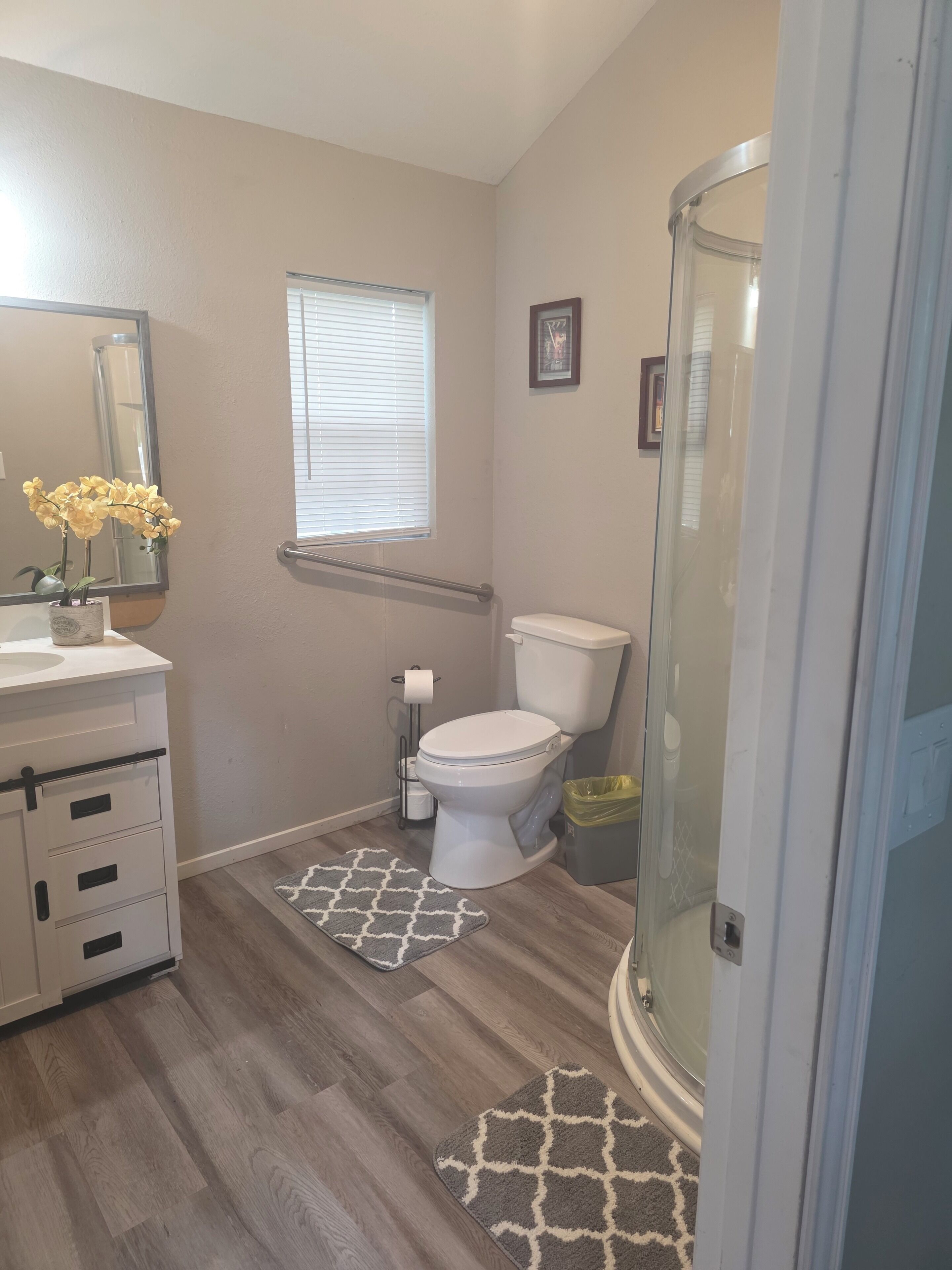 Hair dryer, towels, toilet paper