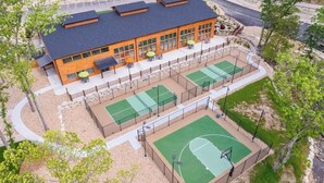 Sports court - NewCabin, Pools, Lazy River, Private HotTub, Firepit, near Branson, BigCedar (Hollister)