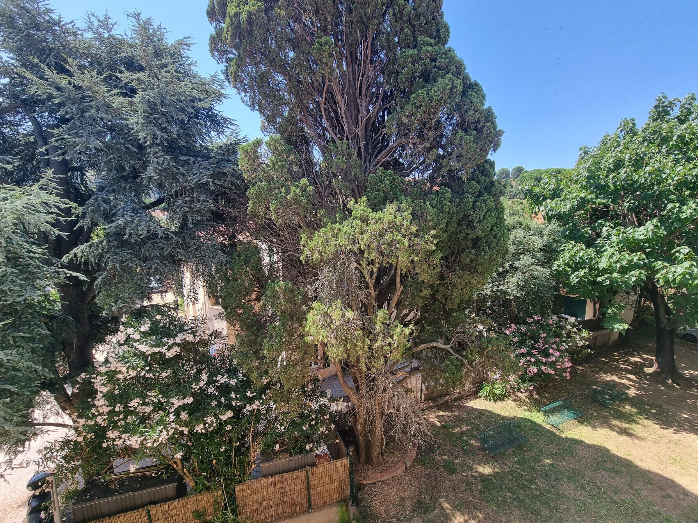 Un jardín con varios árboles, una cerca de madera y un camino empedrado.