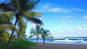 Ein Strand mit Palmen und Meereswellen.