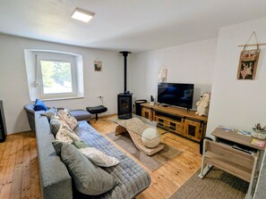 A living room with a sofa, television, fireplace, and a window. - Nature lodge, pets allowed - 6 guests (Fraize)