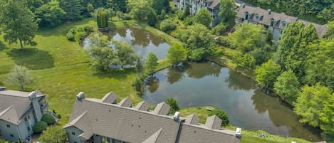 A residential area with houses, a pond, and a small bridge.